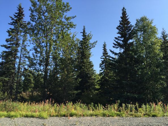 63727 Oil Well Rd, Ninilchik, AK 99639